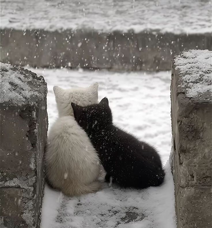 Обложка трека